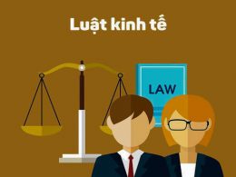 Tư vấn luật kinh tế theo pháp luật hiện hành